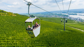 Deutschland Rüdesheim Seilbahn Weinberge iStock kmn-network.jpg